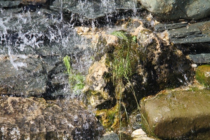 Благоустройство и озеленение участка 50 соток  на Дмитровском шоссе.