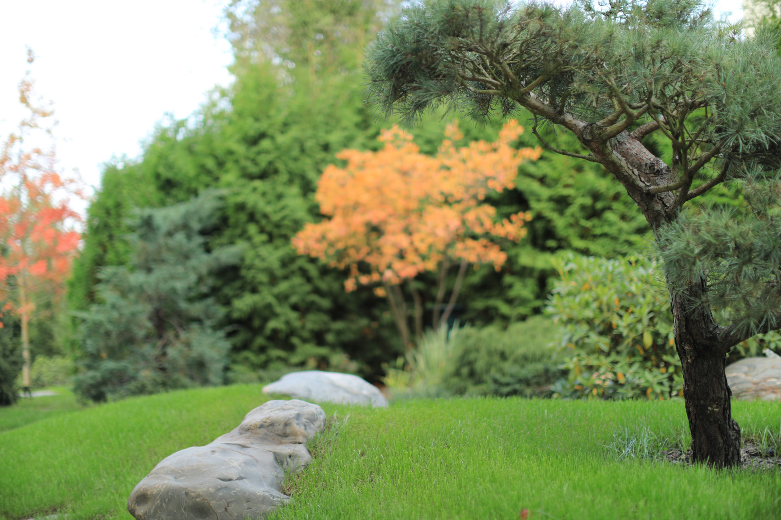 Агаларов-эстейт