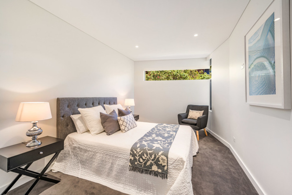 Photo of a mid-sized transitional guest bedroom in Sydney with white walls, carpet and brown floor.