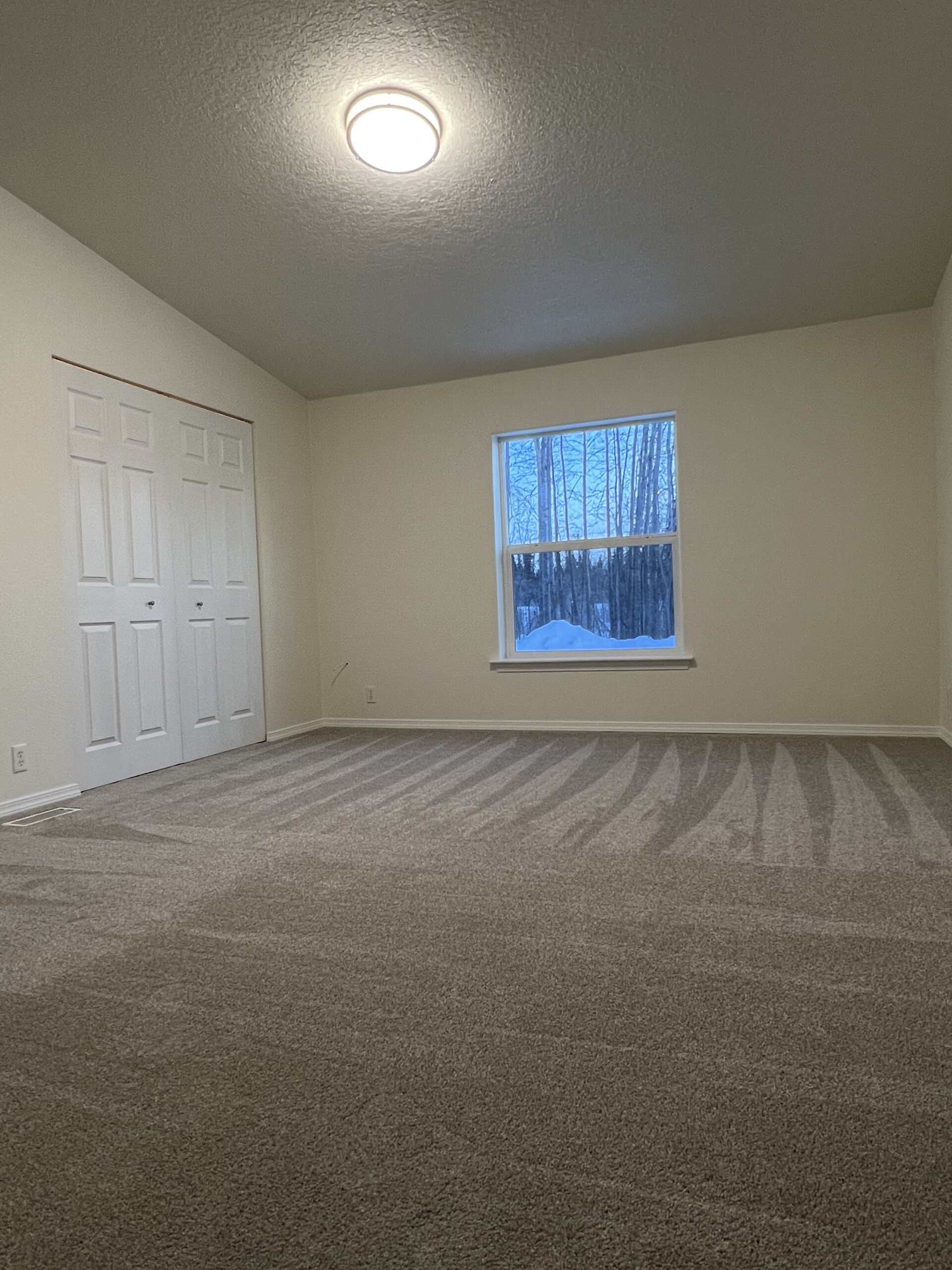Full House Remodel