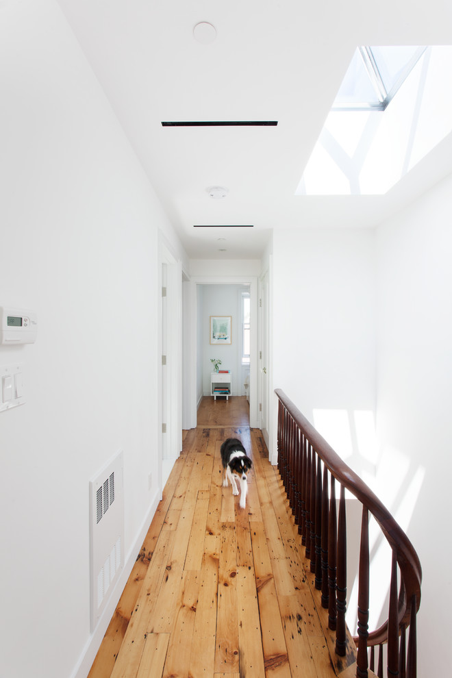 Design ideas for a large contemporary hallway in New York with white walls and medium hardwood floors.