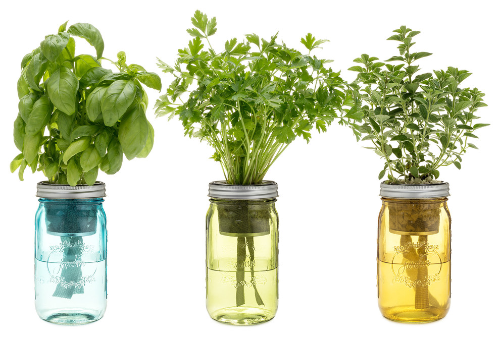 Tuscany Herb Garden Jar, Set of 3