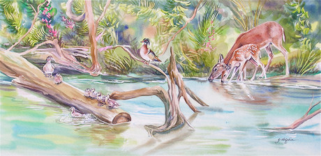 "First Spring" Original By Gail Dolphin