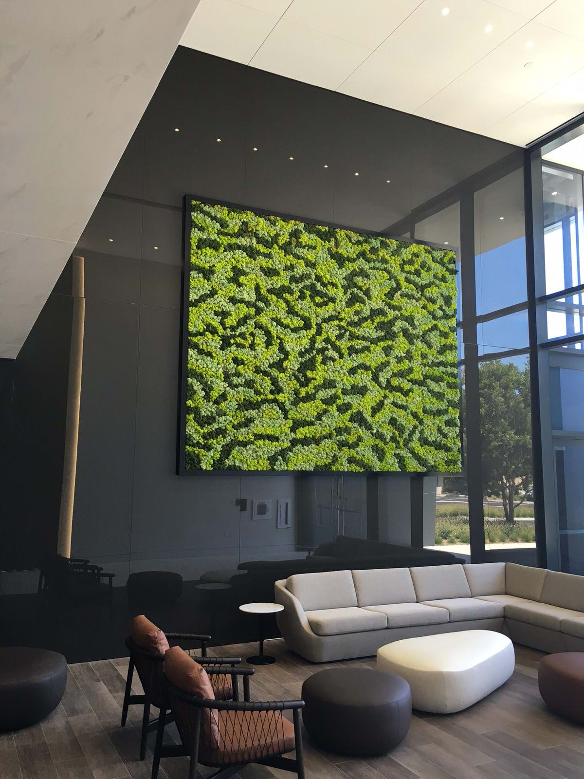 Панно и стены из стабилизированного мха