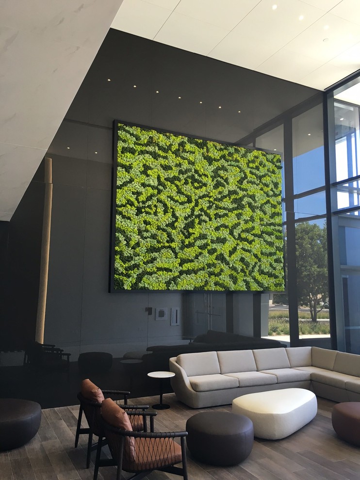 Панно и стены из стабилизированного мха