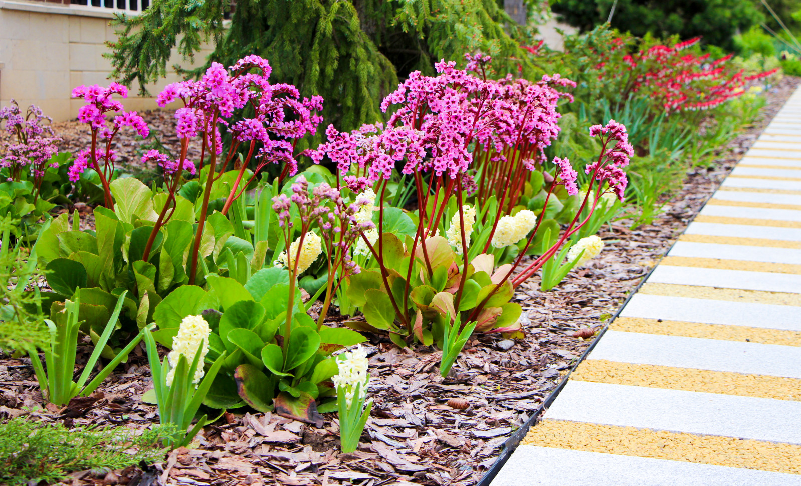 Горки-10, 2017-2020 г.г.