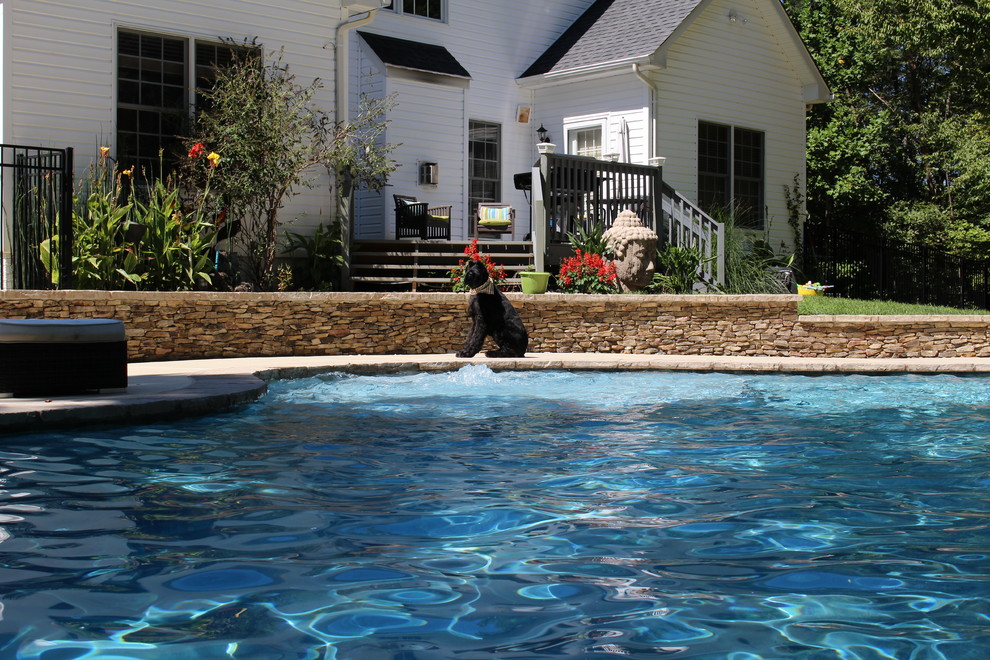 Design ideas for a mid-sized country front yard custom-shaped natural pool in DC Metro with concrete slab.