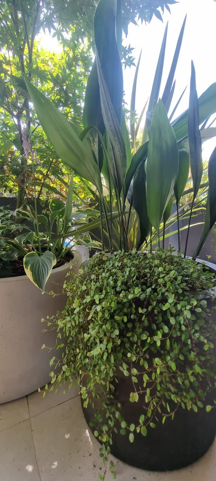 Realizzazione Una stanza all'aperto