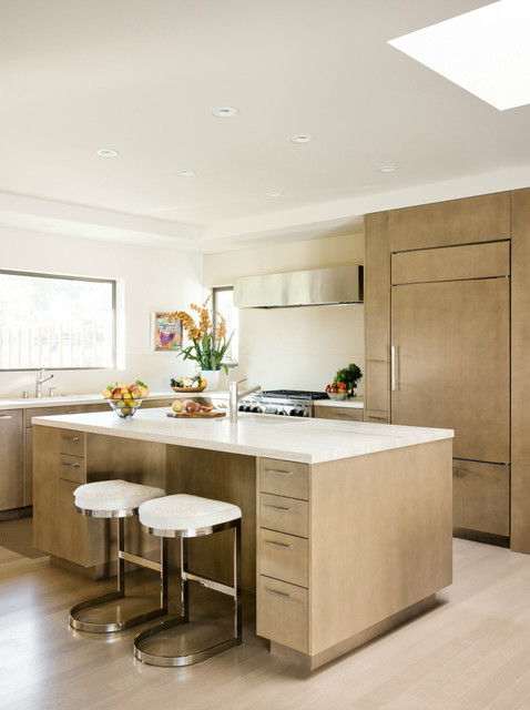 Kitchen contemporary-kitchen
