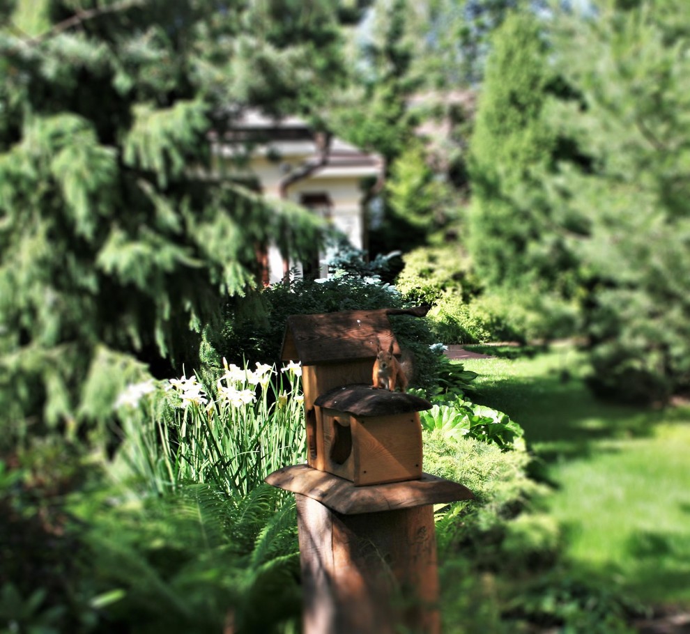 Сад с аурой