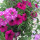 stephanie_beaudette