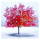 Last commented by Tani Spielberg