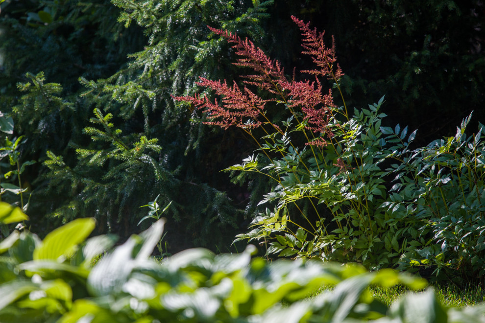 Кузьмолово