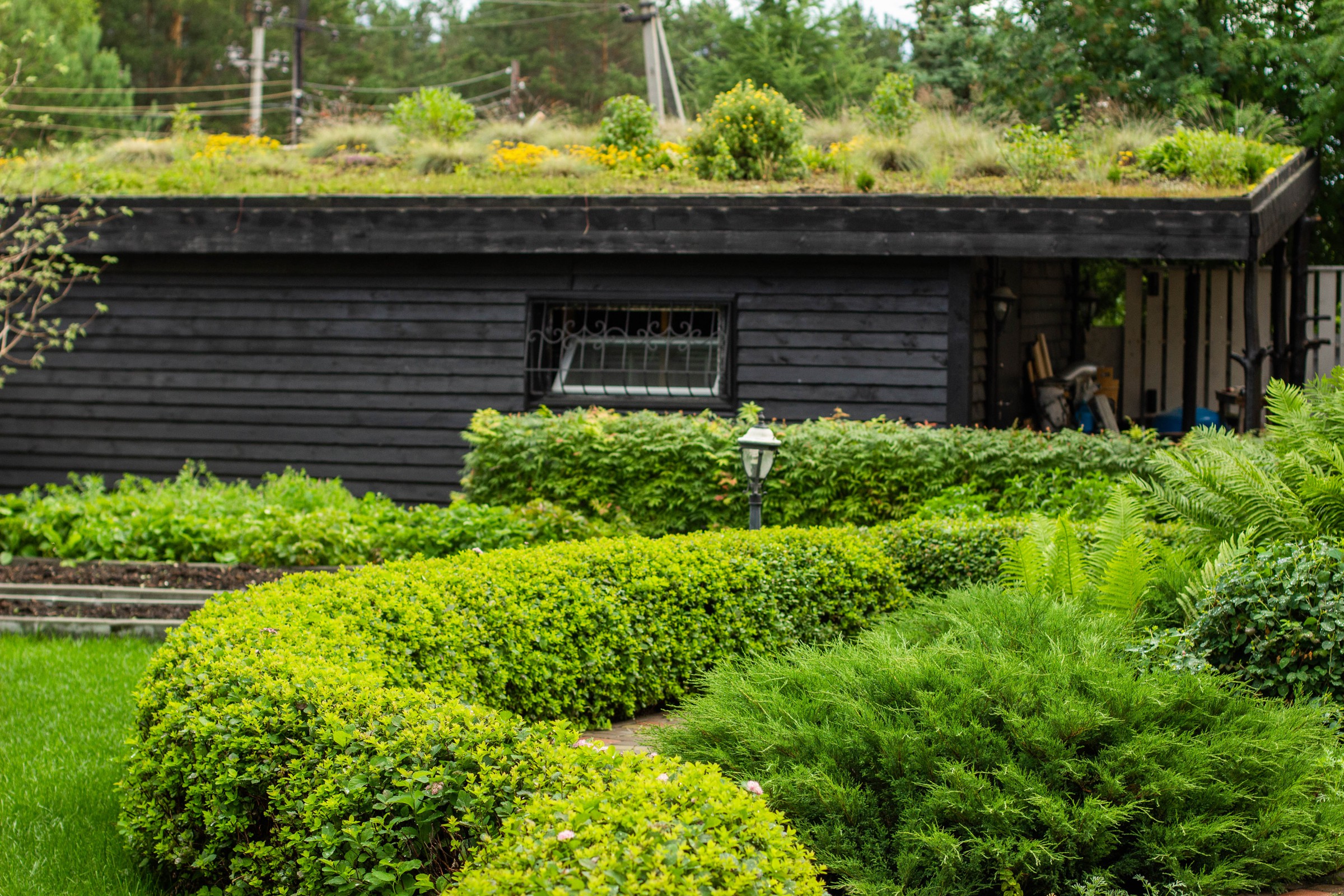 Сад с зеленой крышей