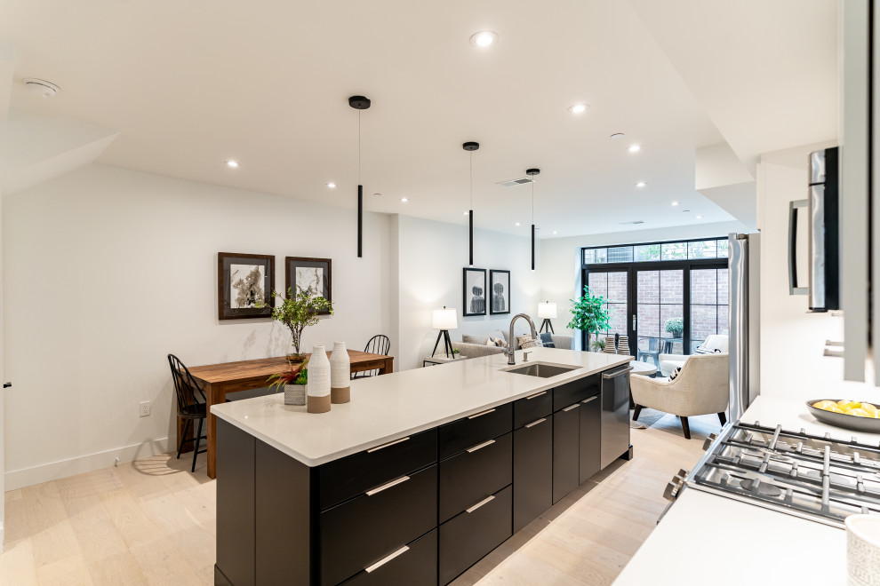 Southwest DC Duplex Renovation