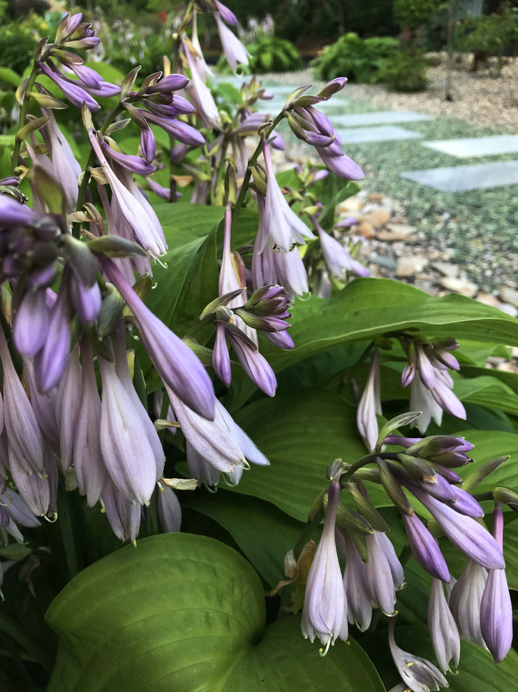 Покровское