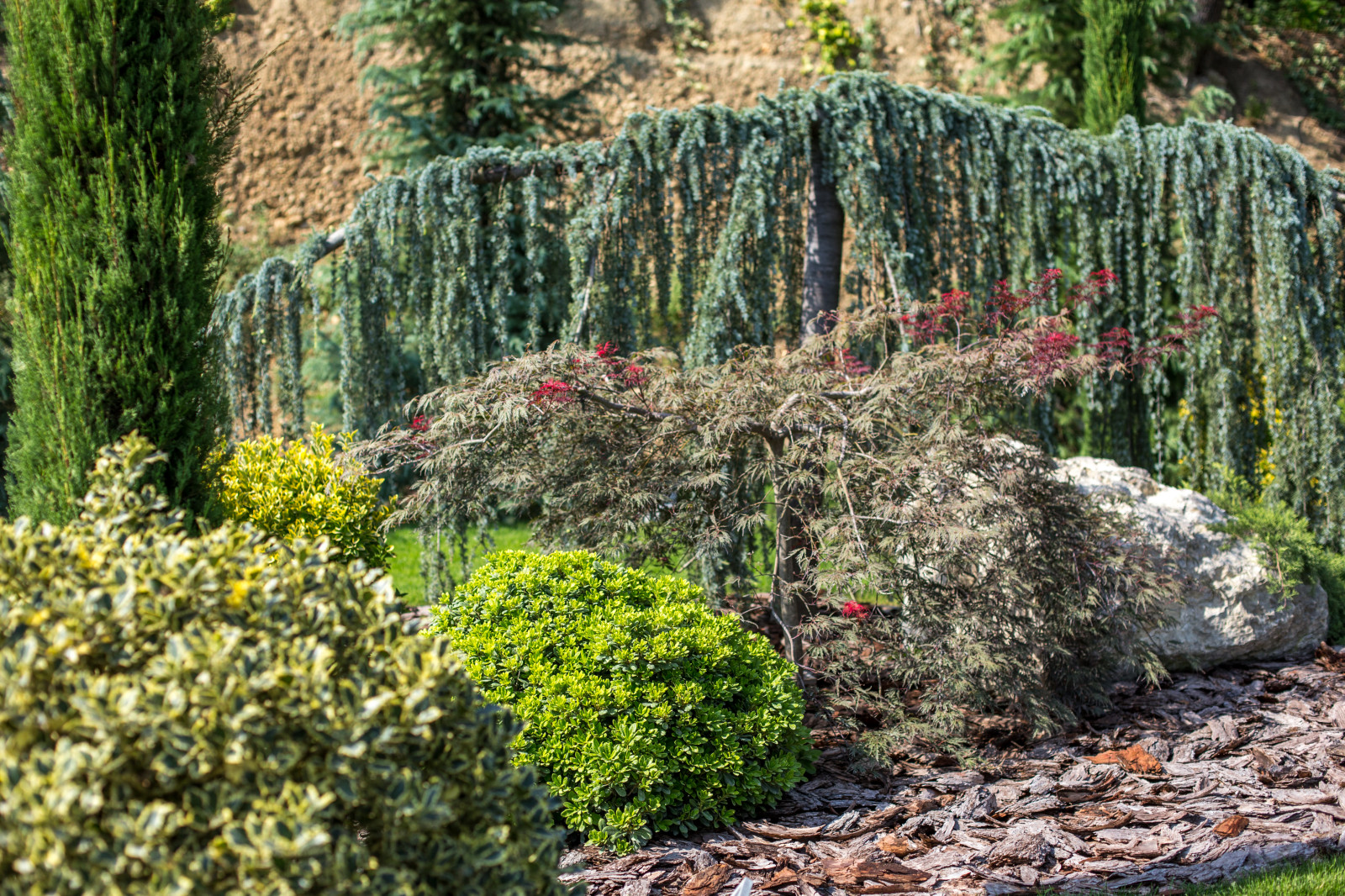 Сириус Сочи