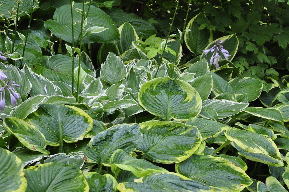 кп. "Архангельское" - Уход за садом - 100% качество!