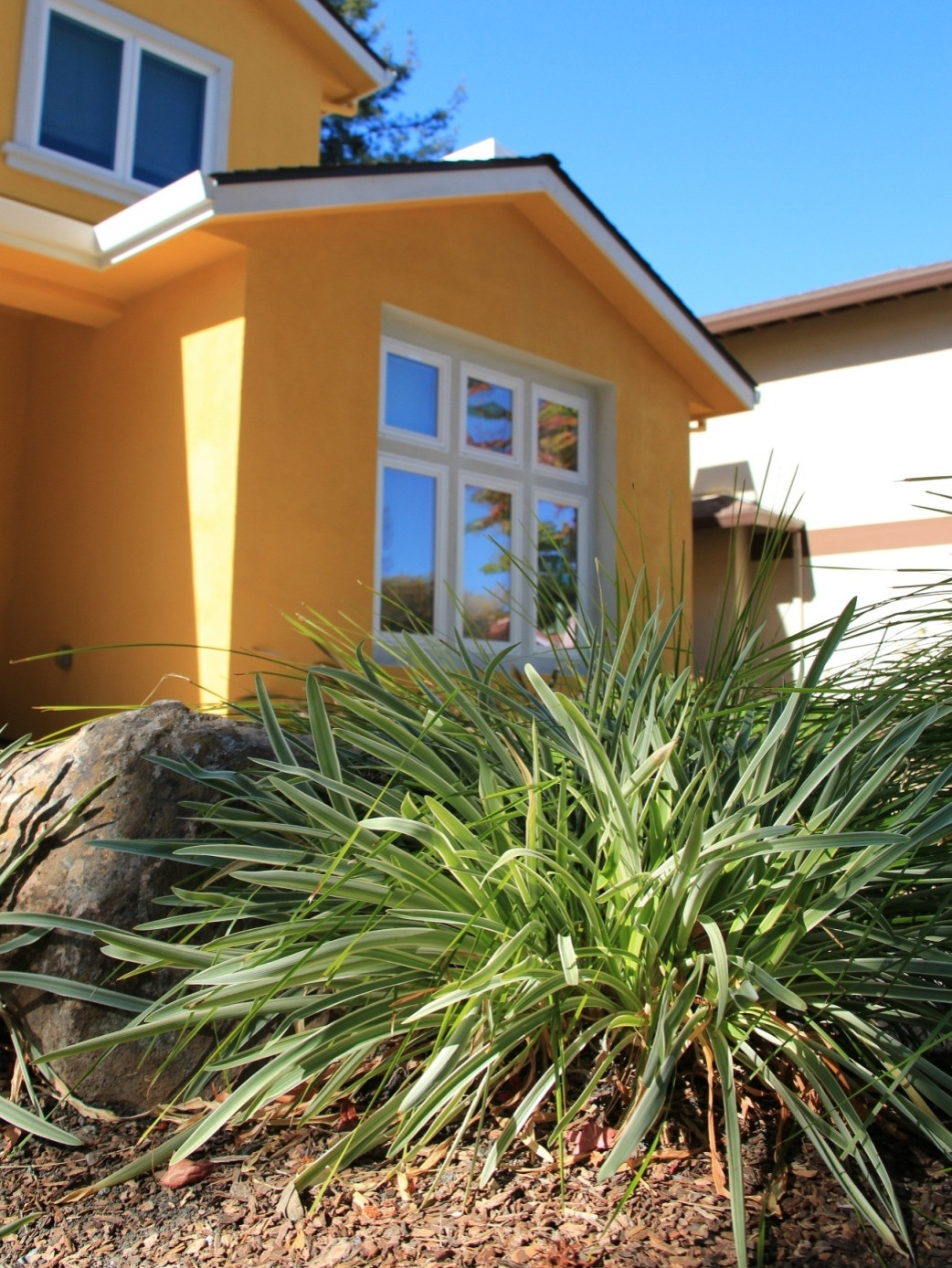 Vivide colors garden