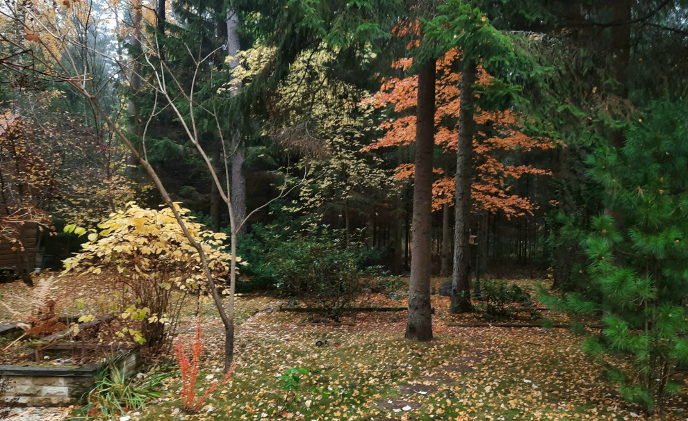 Романтический сад в пейзажном стиле