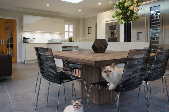 case study - kent contemporary-kitchen
