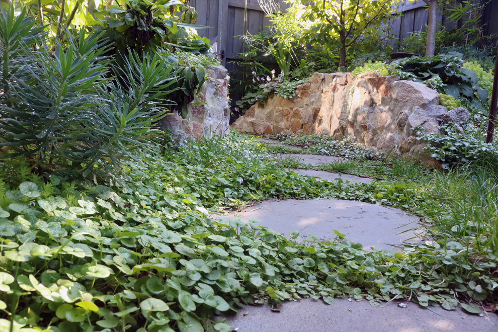 Esempio di un giardino esposto a mezz'ombra di medie dimensioni con un ingresso o sentiero, pavimentazioni in pietra naturale e recinzione in legno