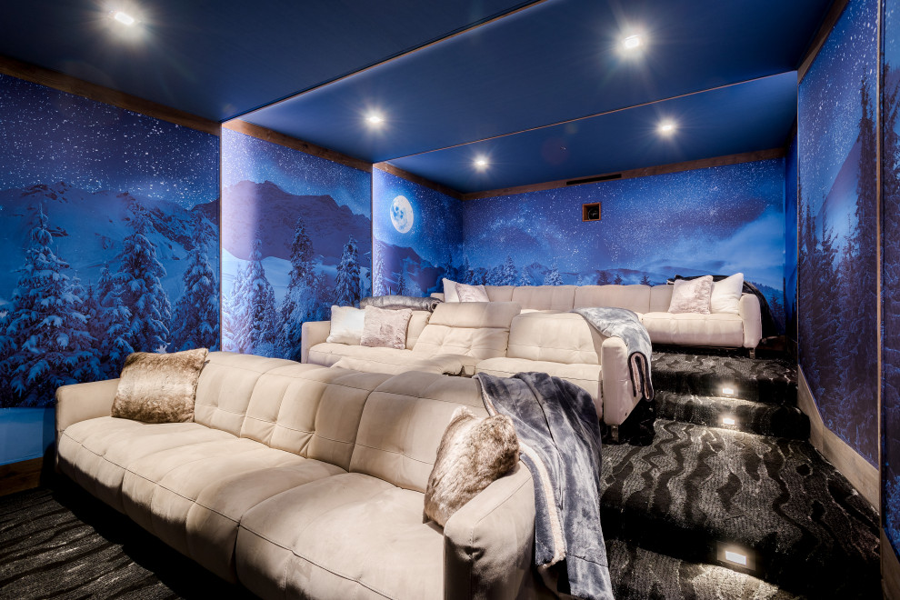 This is an example of a rustic home cinema in Other.