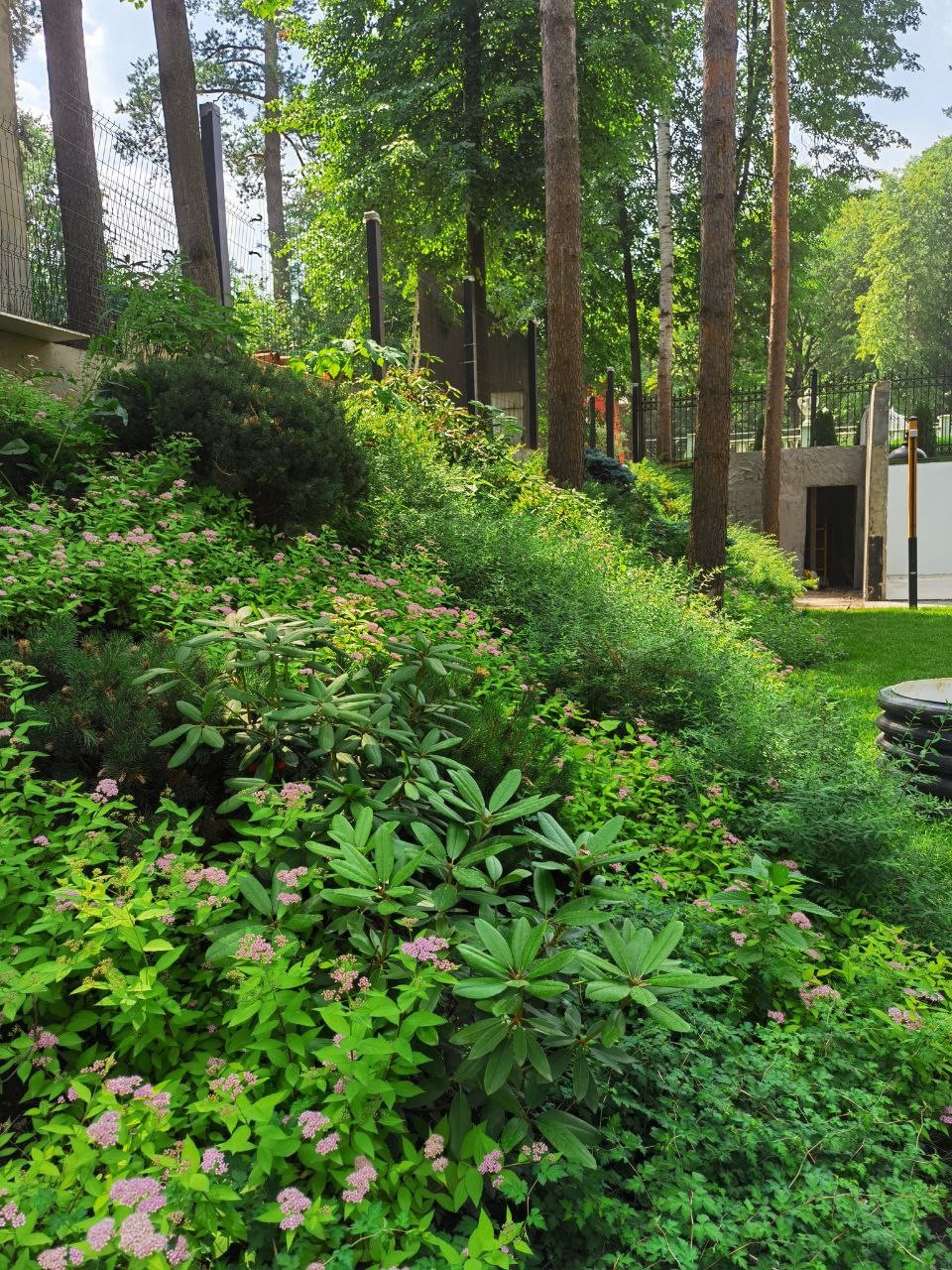 Суханово парк