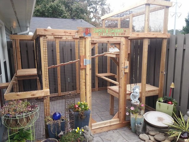 Cedar Cat Enclosure