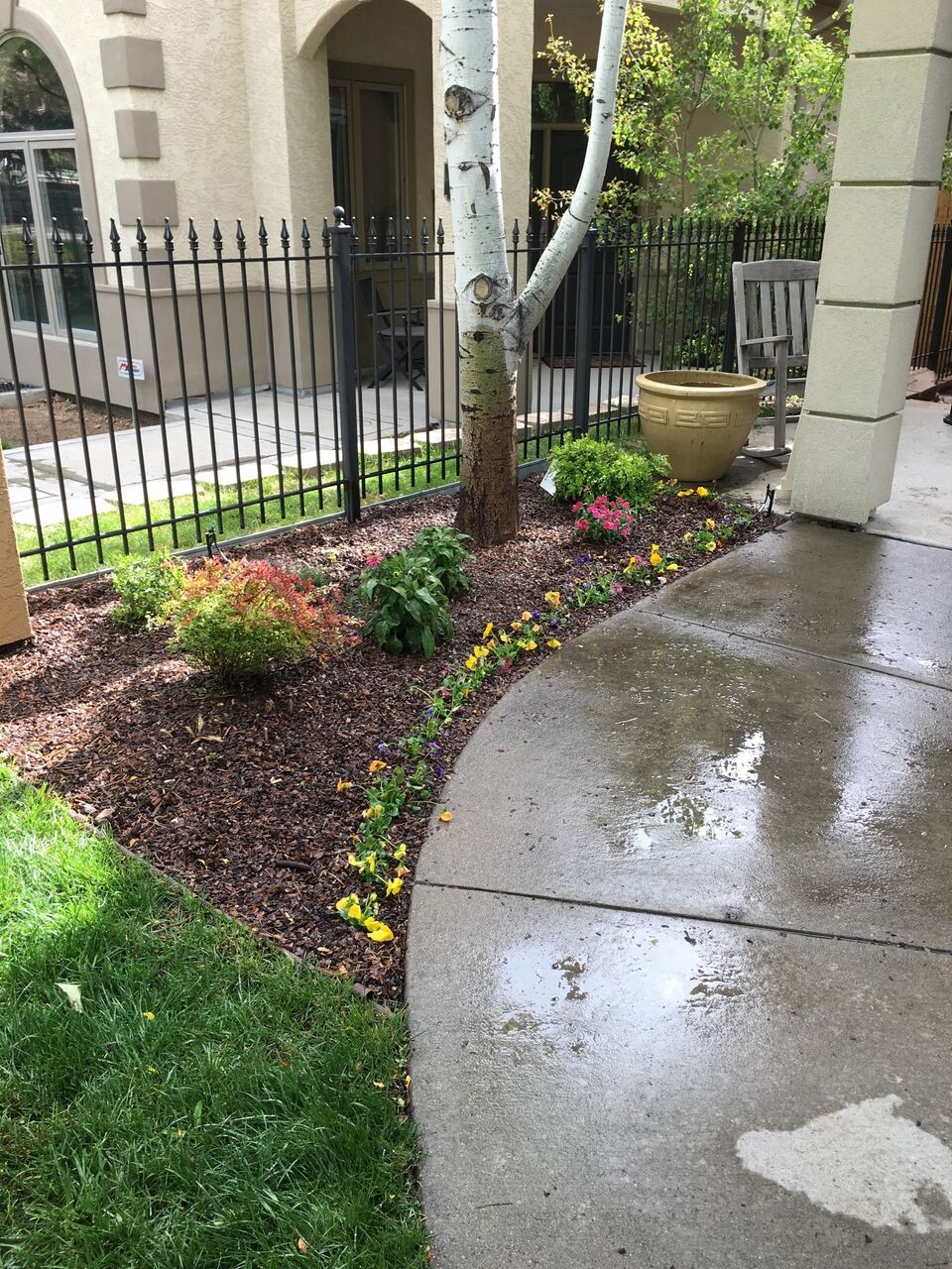 Front Yard Landscape Designs