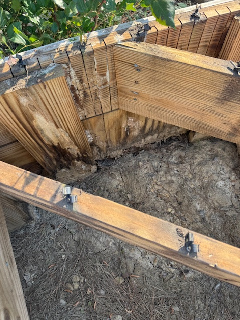 Deck Rebuild