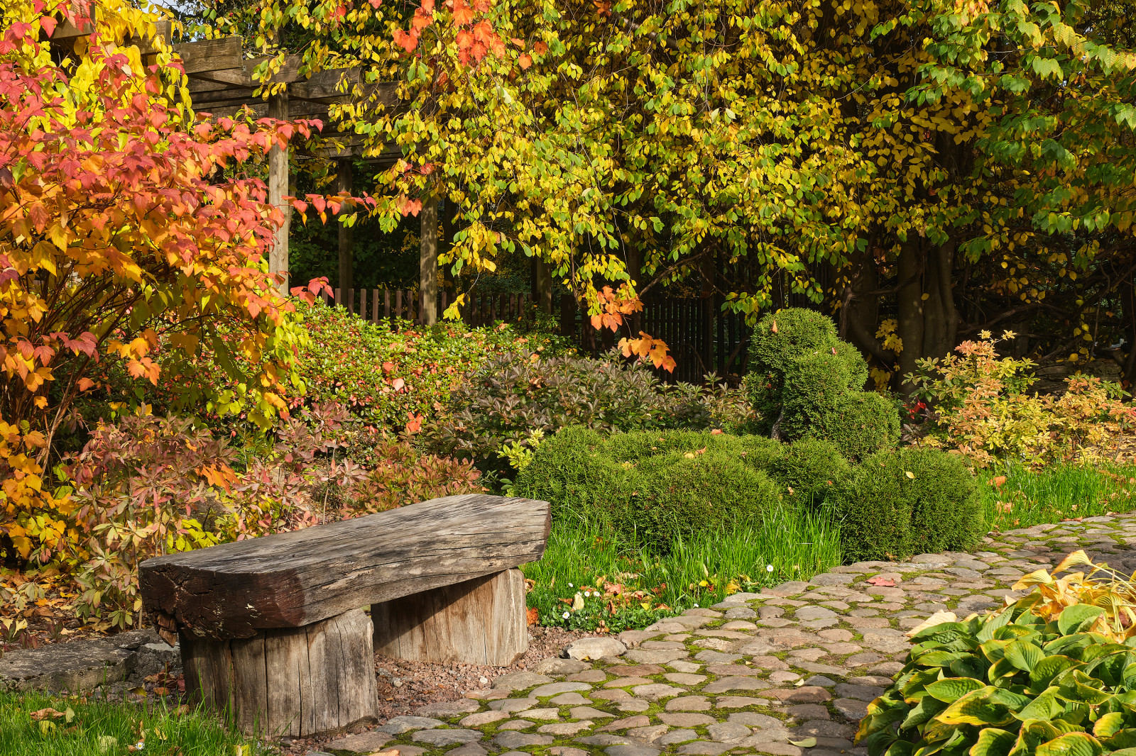 Японский сад в Ботаническом саду БИН РАН, СПб, Петроградка