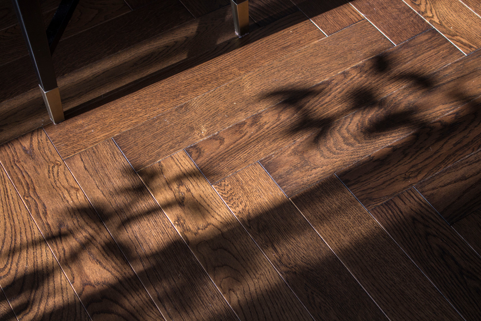 12 этажей над уровнем моря