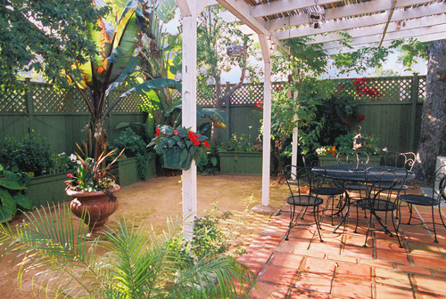 Dog-Friendly Tropical · More Info