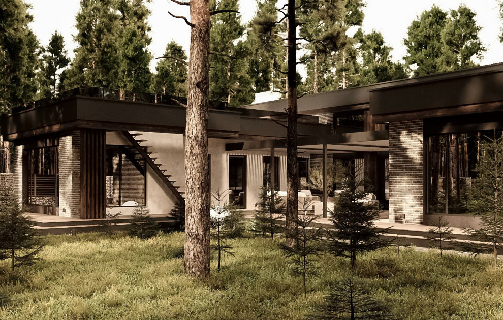 Фасады частного дома в Санкт-Петербурге