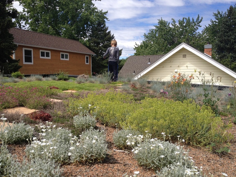 «Зеленая крыша»