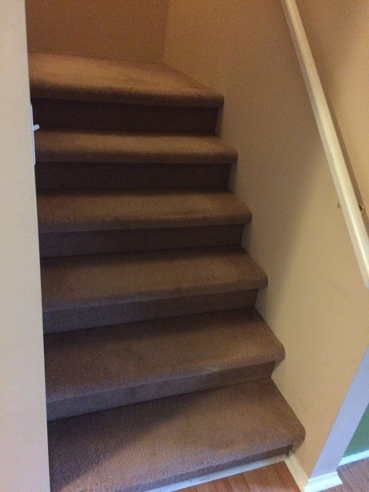 Redo Carpet Or Install Stair Treads For