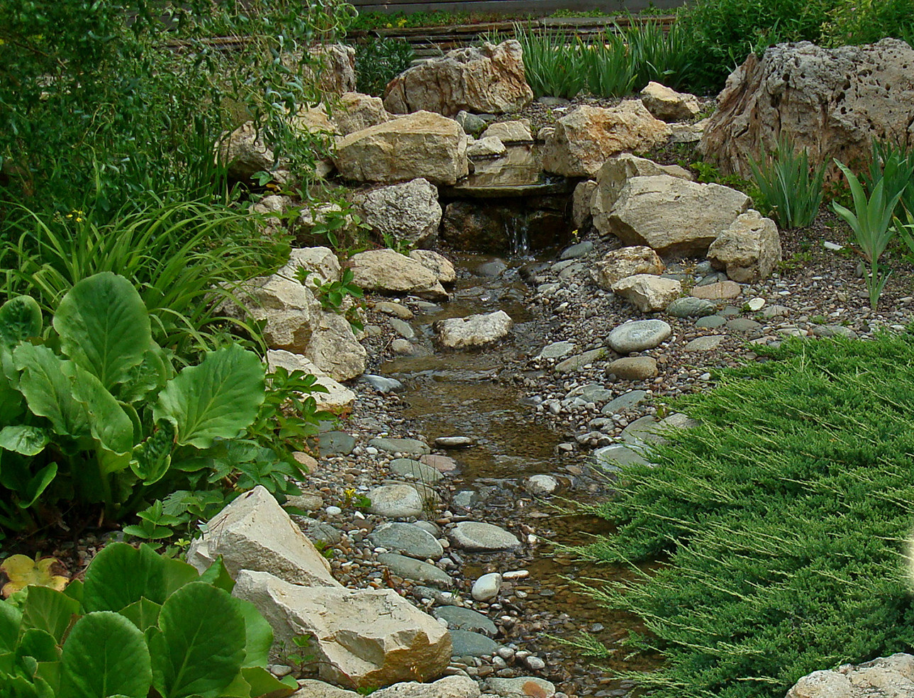 "Сад солнечного ветра"