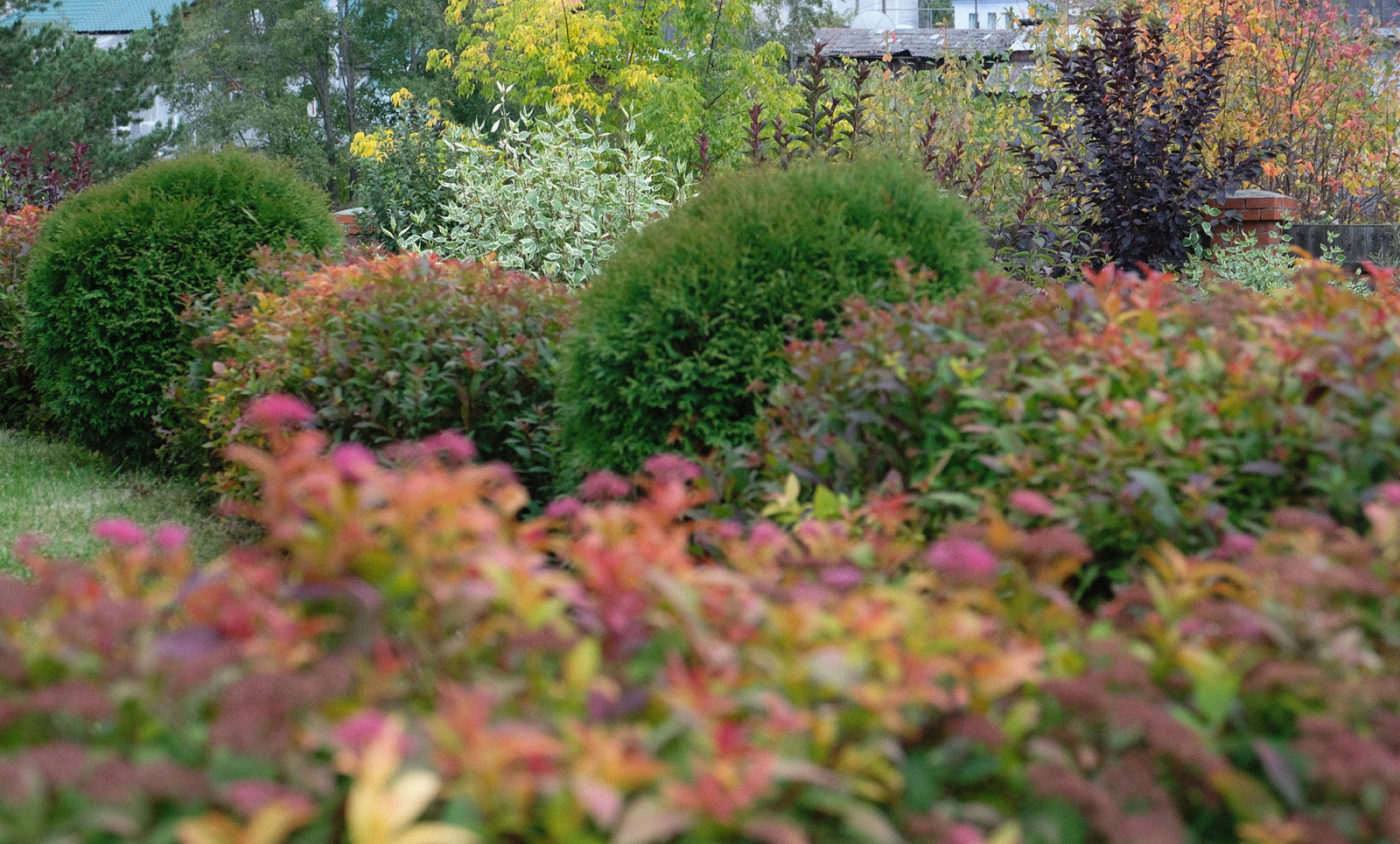 Свердловская область 15 соток