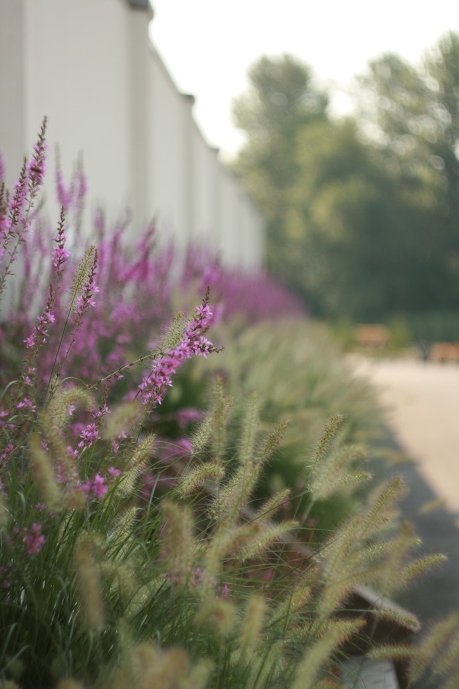 landscape design - Kirovskoe_Dnepropetrovsk region