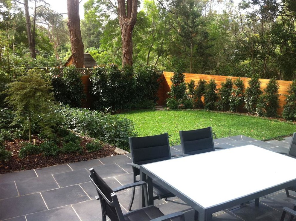 Contemporary backyard garden in Sydney.