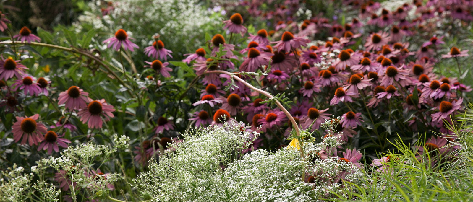 Поселок гольф-клуба Пестово