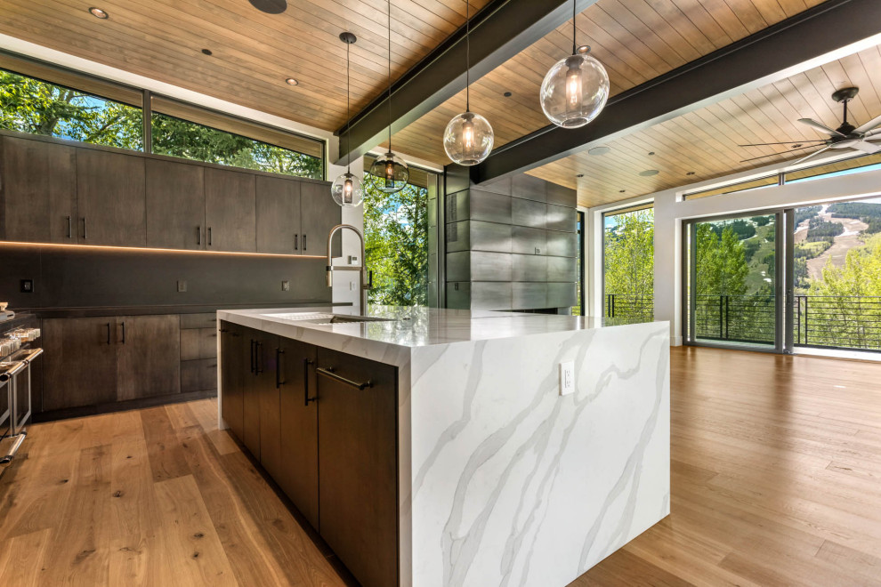 Example of a minimalist kitchen design in Denver