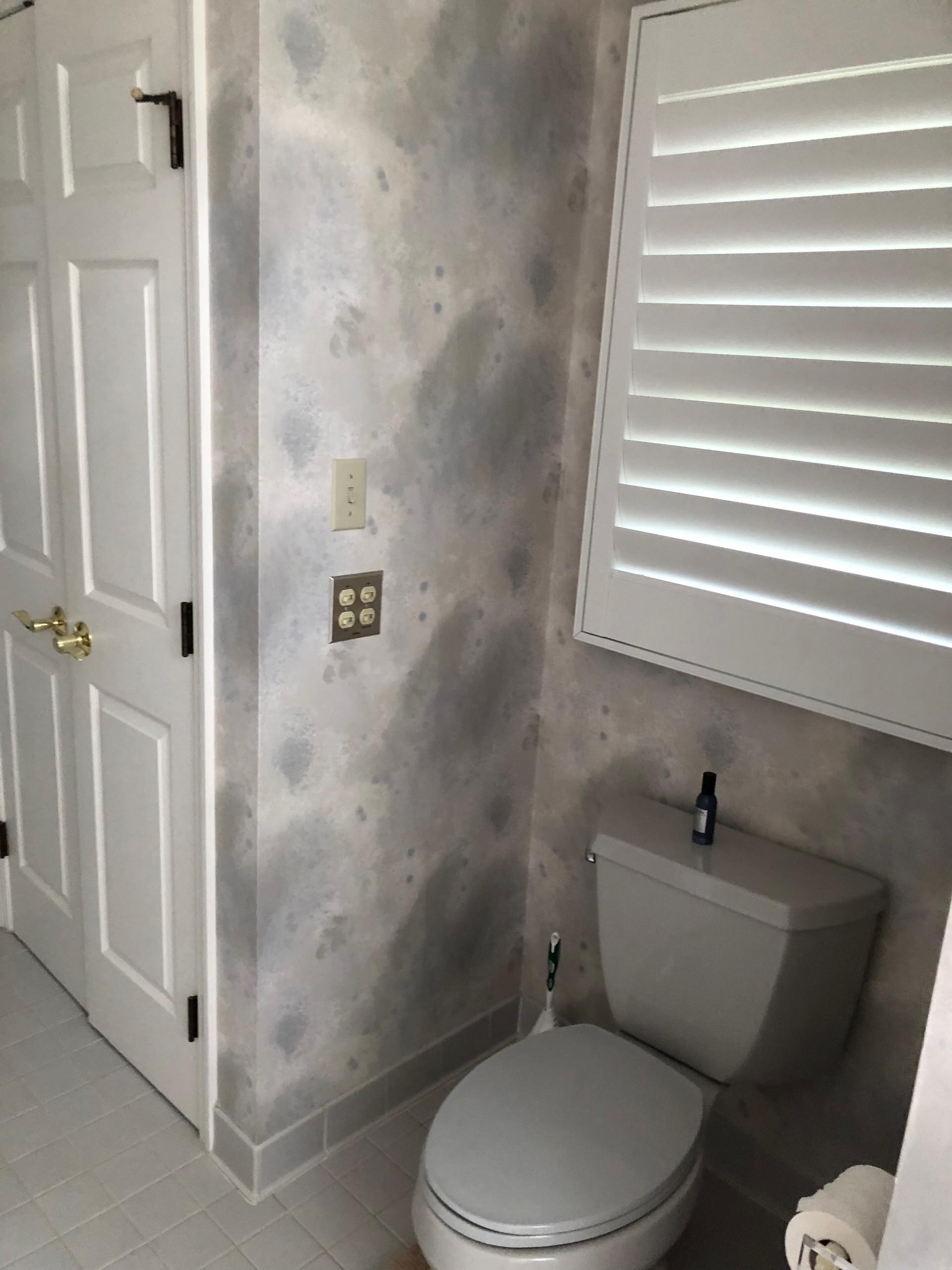 Master Bath Before Remodel