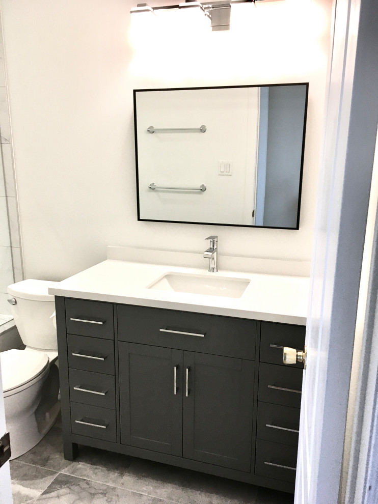 Inspiration for a transitional home design remodel in Toronto