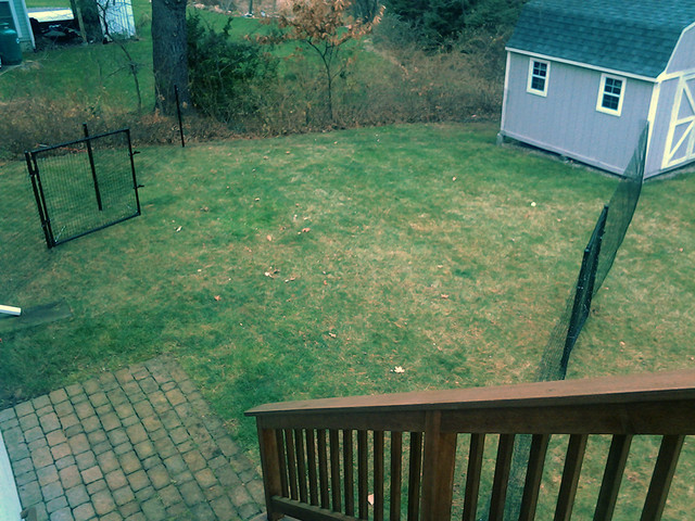 Dog Fence Kits And Installation Services Transitional Garden Dog Fence Kits And Installation Services Transitional Garden