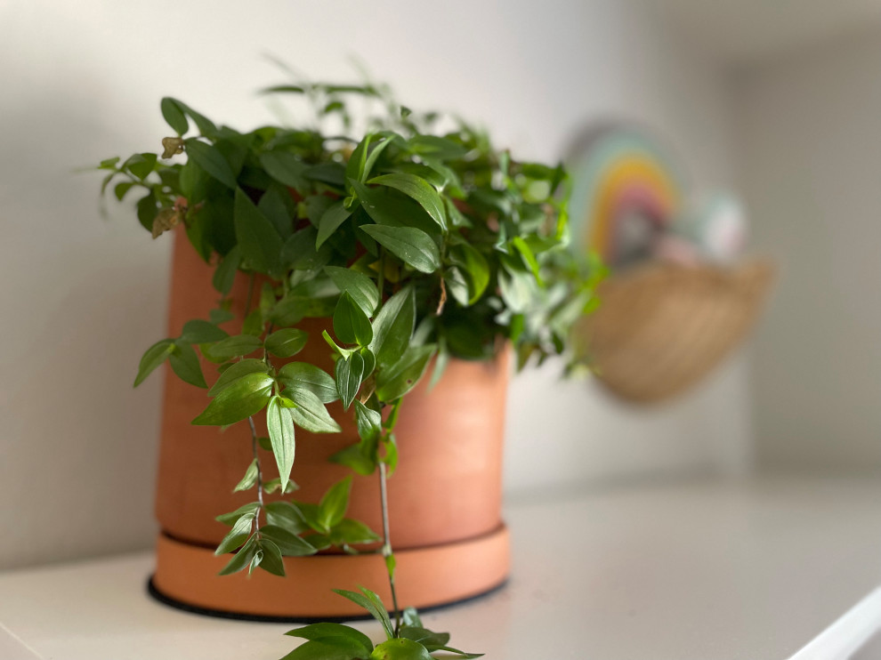 Naturally Vintage | Littleton, CO | Modern Vintage Bedrooms & Living Space