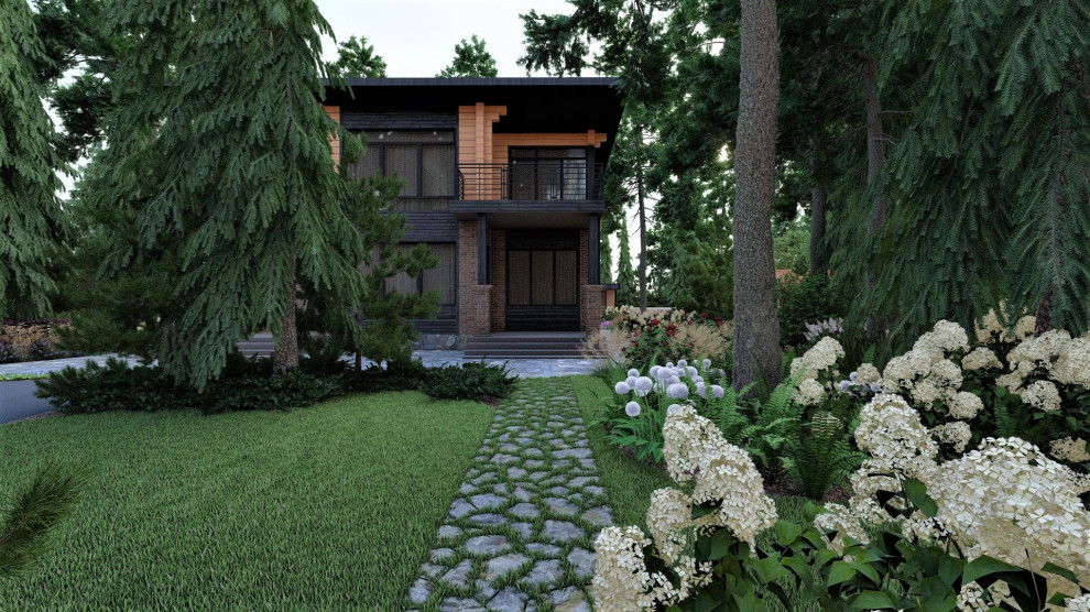 Лесные мотивы