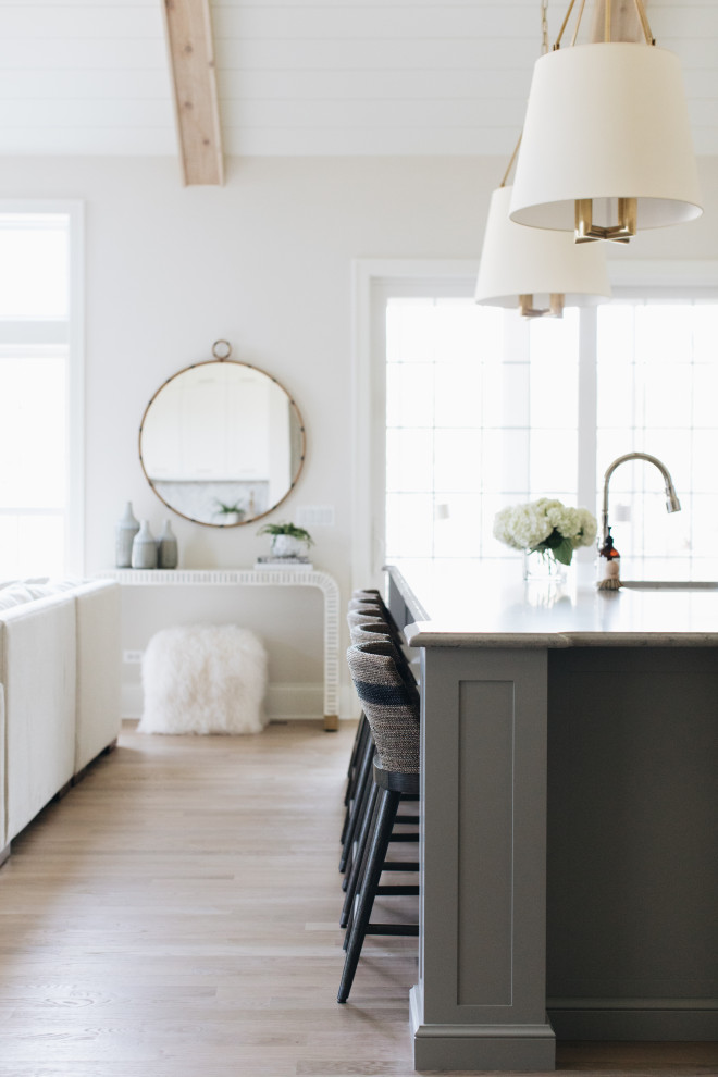 Kitchen - transitional kitchen idea in Chicago