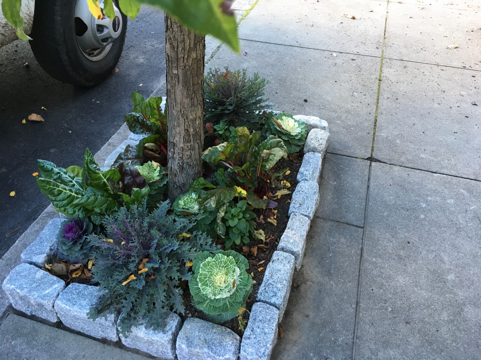 Design ideas for a mid-sized transitional partial sun front yard concrete paver garden path in Providence.